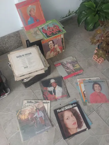 Discos Gauchesco 