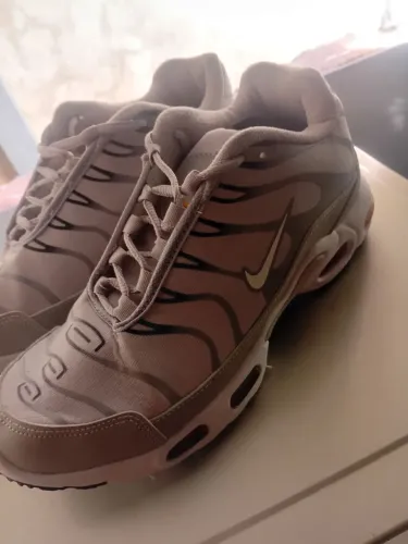 Tenis