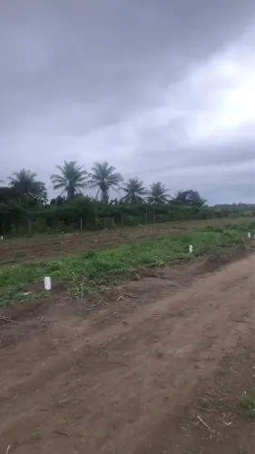 Vendo lote em Conceição Do Jacuípe