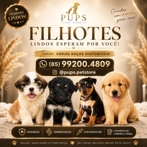 Filhotes incríveis! 