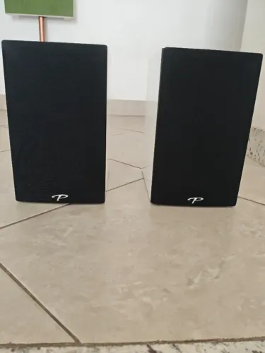  Paradigm Premier 100b