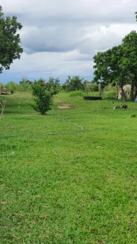 Vendo sítio aproximadamente 100 hectare 70km Cuiabá região manso.