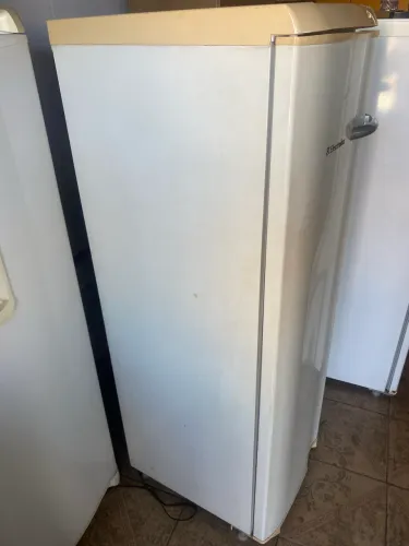 Freezer vertical