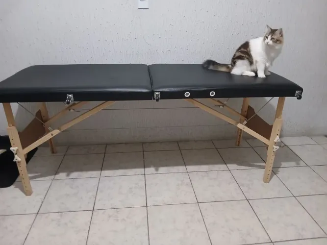 Maca para massagem ou fisioterapia 