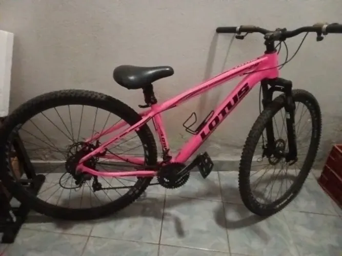 Bicicleta