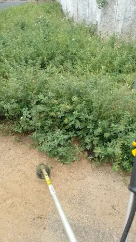 Serviço roçagem e terrenos