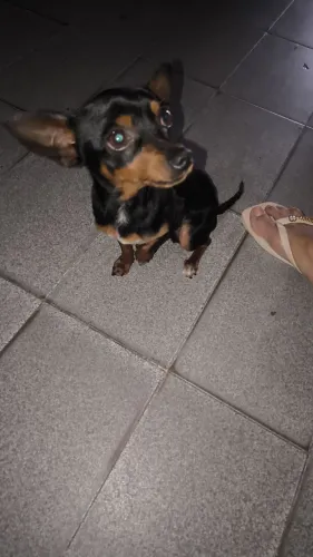 A procura de uma namorada