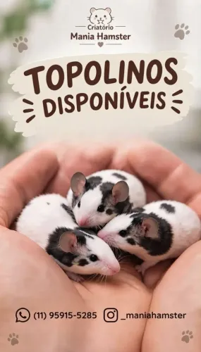 Topolonos menor camundongo do mundo
