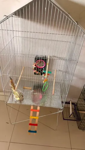 Vende se gaiola grande para calopicita