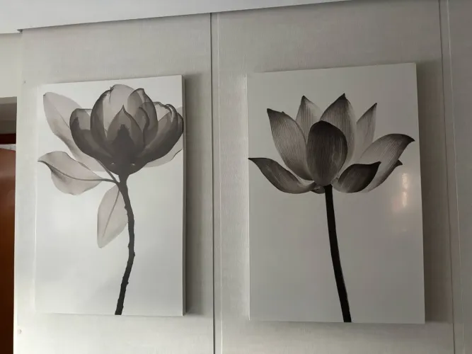 Quadros 90x60cm R$ 50,00 cada