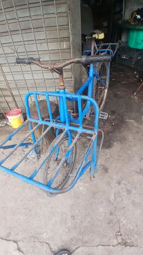 Bicicleta Cargueira / 250