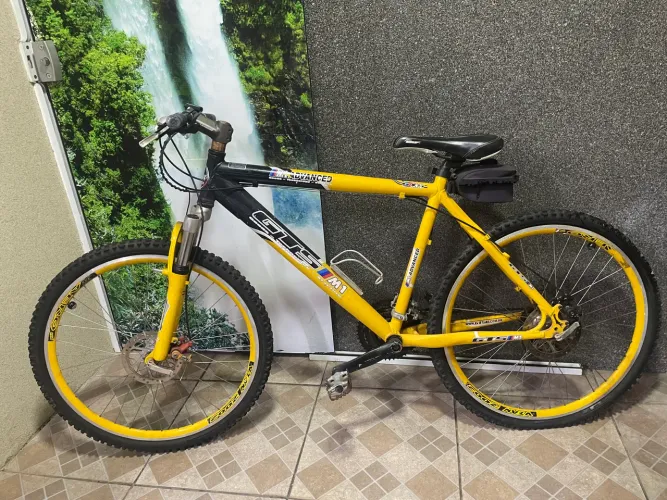 Bicicleta 