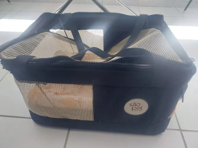 VENDO BOLSA DE TRANSPORTE PARA PETS