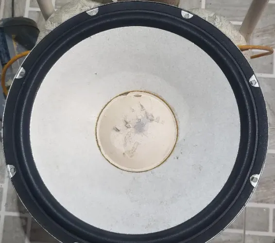 Alto falantes 15" Original Sony Shake 77