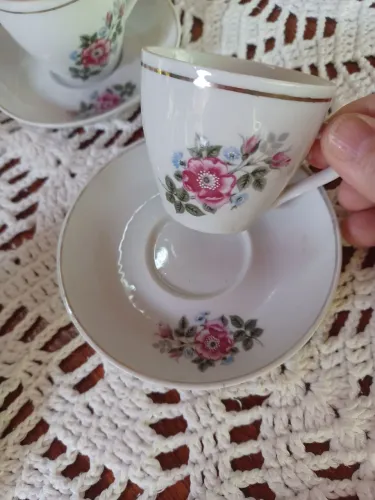 Jogo de café porcelana pozzani 