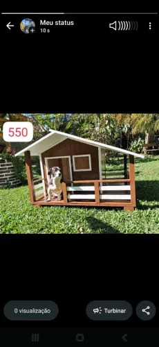 Casinha de cachorro