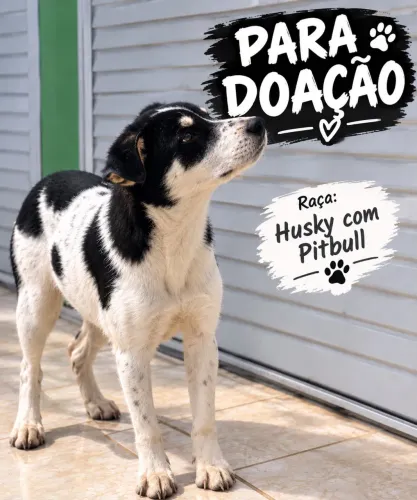 Doação