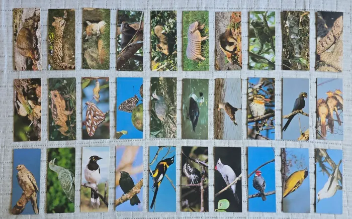 Cards figurinhas Nestlé Surpresa Sertões (1991) completo