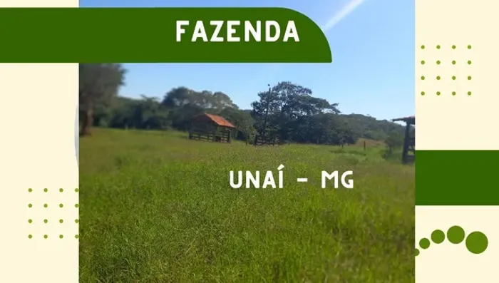 Venda fazenda Unai MG 18 alqueires escriturada e registrada toda preparada para pecuária