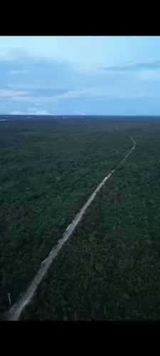 Vendo Gleba de terra em Viçosa!