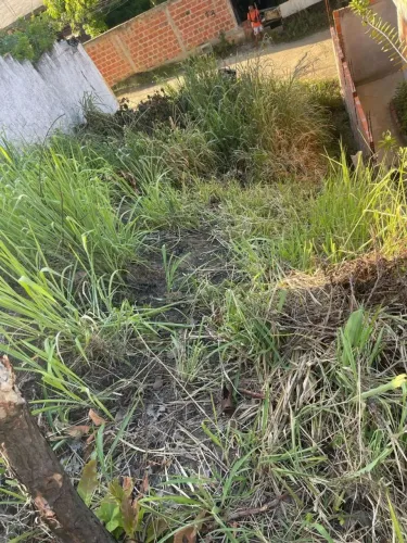 VENDO Terreno Em São Tomé De Paripe