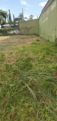 Jardinagem