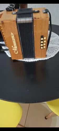 Sanfona minuano bem conservada 2700