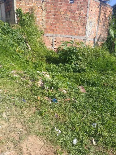 Vendo um terreno em paripe 