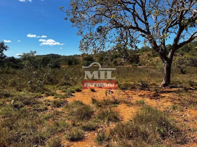 Fazenda 135 Alqueires (653 Hectares) Uruaçu - GO