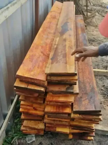 Tabua de azimbre e Ripao