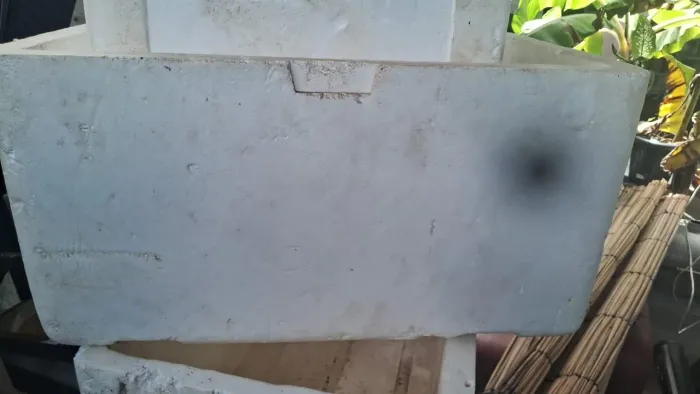 Isopor excelente pra vender bebidas