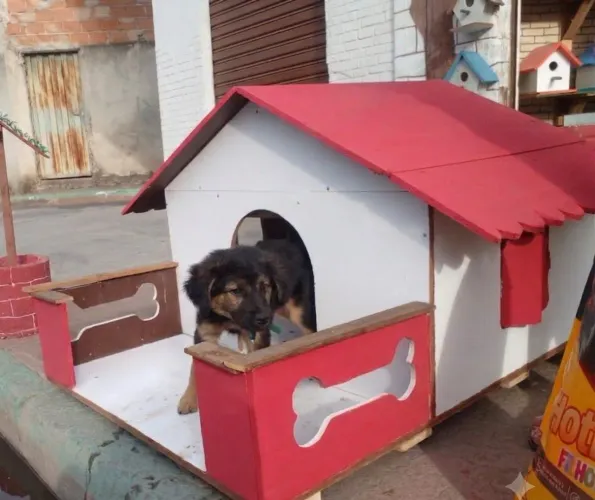 Casinha para cachorro grande