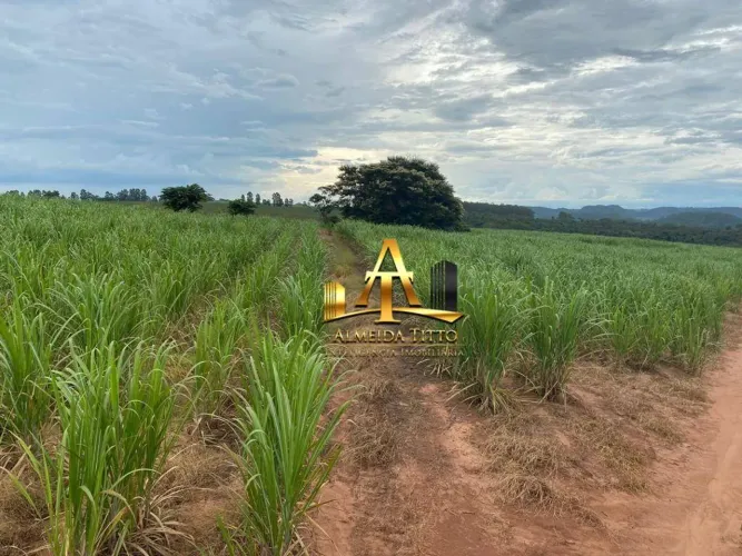 Fazenda à Venda - Zona Rural - Ribeirão Bonito/SP