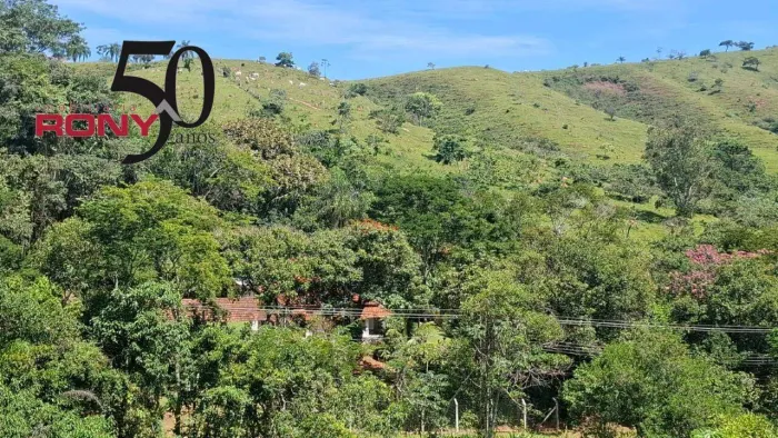 Lindo Sítio de 9,372 alqueires com área de pastagem, lagos, nascentes e pomar!