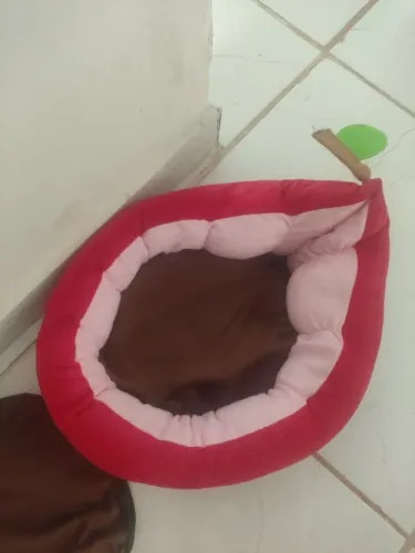 Caminha para Pet maçã