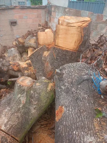 Doação de lenha  retirada no local