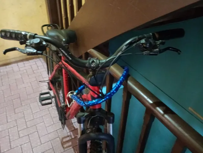 Bicicleta