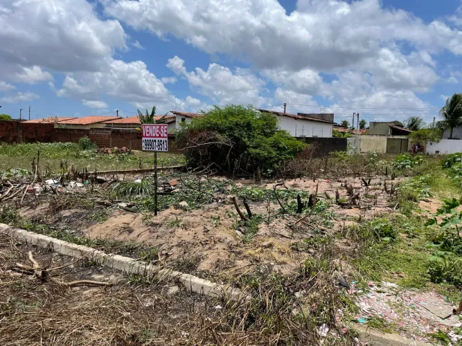 Lote no Rota Norte