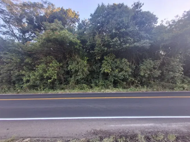Terreno a venda de 4.3 ha - Taquara - RS