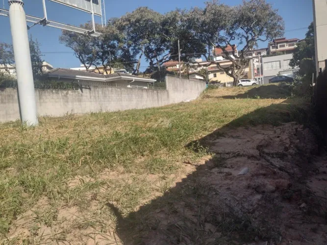 terreno - Bairro das Palmeiras - Campinas