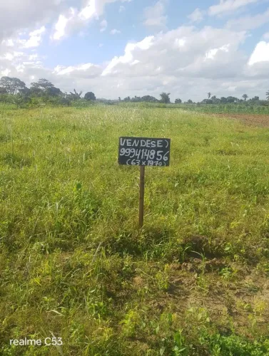 Meia tarefa de terra em são domingos