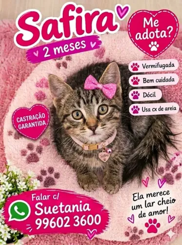 FILHOTES FOFOS
