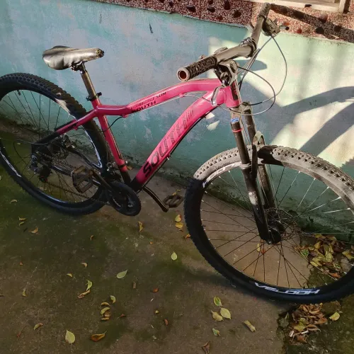 Bicicleta aro 29