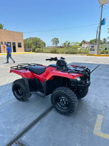 QUADRICICLOS 2019