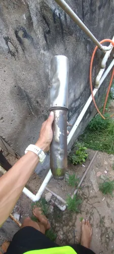 Vende-se ponteira canela seca