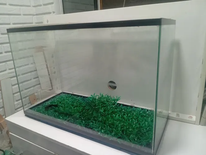 Aquário completo de 100 litros 