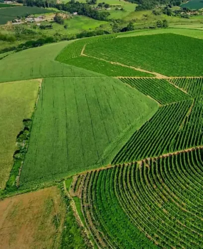 Fazenda de Café Produtiva, em Varginha/MG, com 40 alqueires, preço de Ocasião!