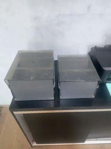 2 ficheiros