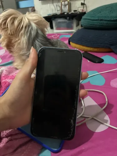 vendo iphone xr