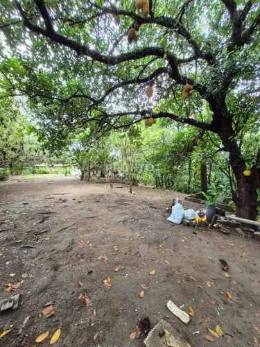 Lote/Terreno/Condomínio em Guabiraba